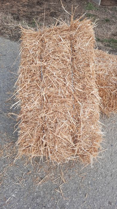 ‼️Baloti de paie de grâu‼️ Ofer și transport contra cost‼️