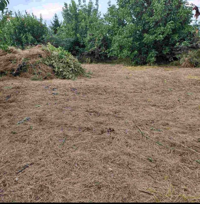 Продава се Парцел в с. Юнаците, Област Пазарджик - 611 кв.м за 23 €/кв.м - Снимка #2