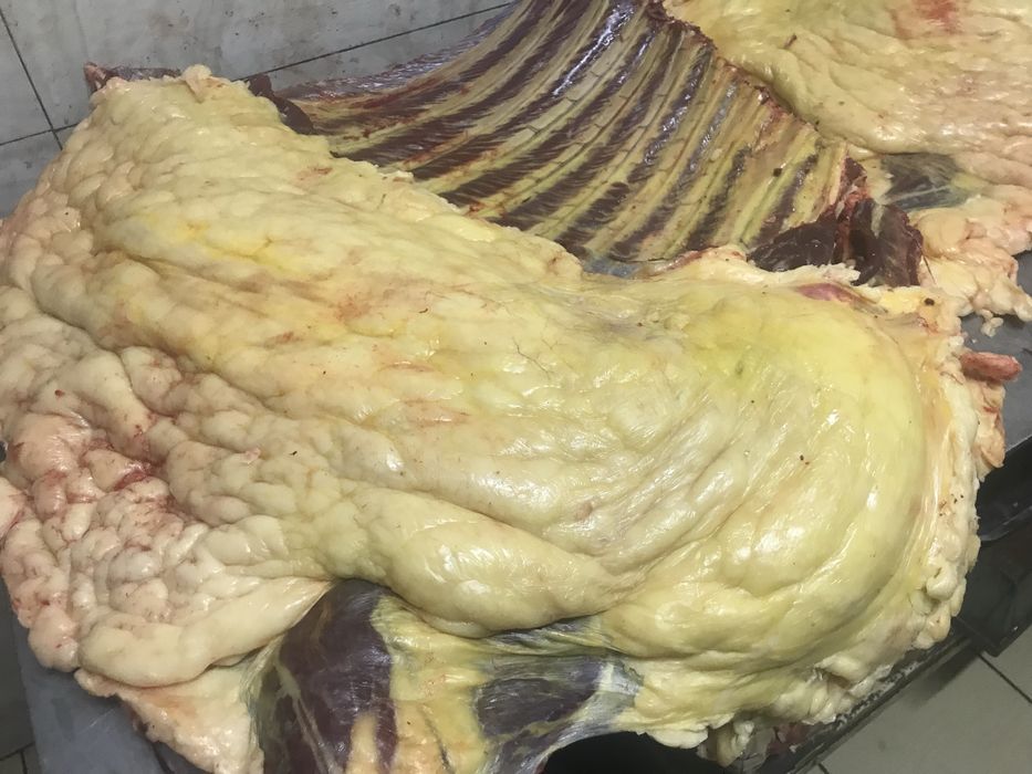 Продам мясо конины в любом количистве