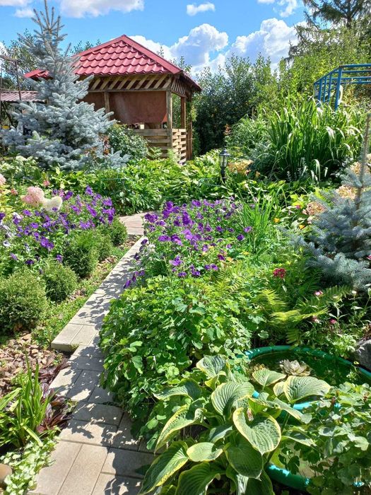 Продается дача с/д Восток на Пестром