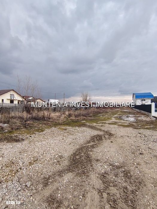 Oferta! pretabil investitie! Teren 7000 mp. Bradu, stradal
