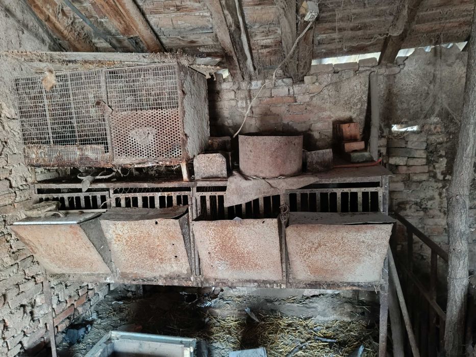 Заичарници клетки