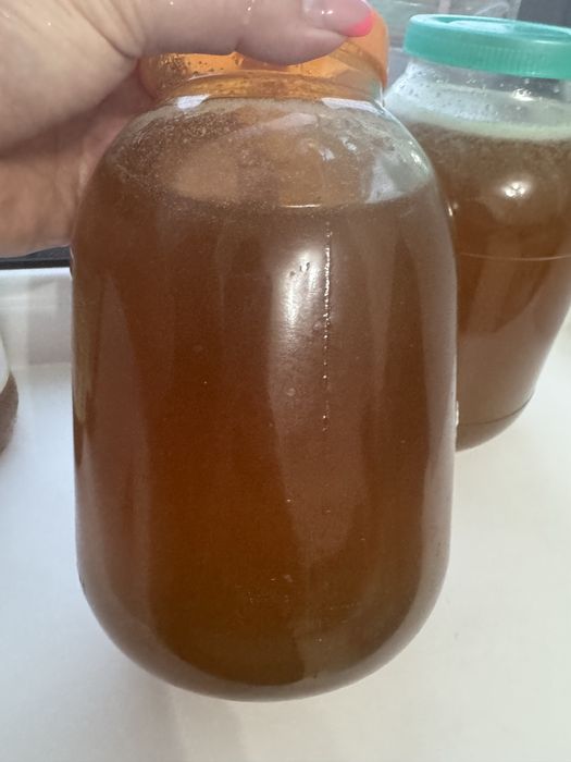 Мед Катон-Карагайский ВКО