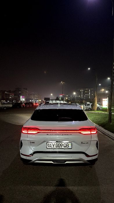 Byd champion 605 km br qol moshna