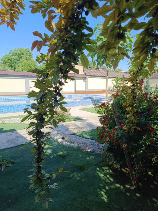 Сдаём евро дачу недалеко от Ташкента ! Чистый воздух и уют  !