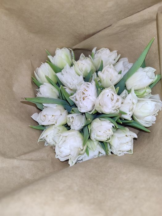 Тюльпаны  Алматы