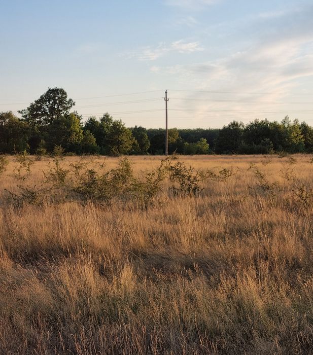 Teren pentru vanzare/ concesiune – ideal BESS / parc de stocare energie, parc fotovoltaic – 3,3 ha