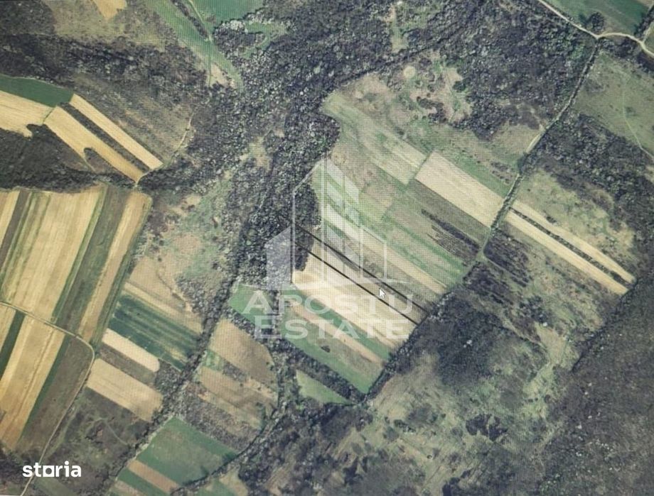 TEREN AGRICOL 1,524 HA, LA DOAR 10.000€ Comision Zero %