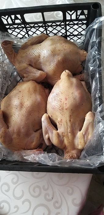 Тауық еті бойлер