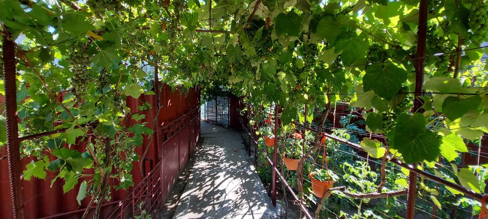 Casa de piatra 100mp, 3cam, ocazie pentru liniste