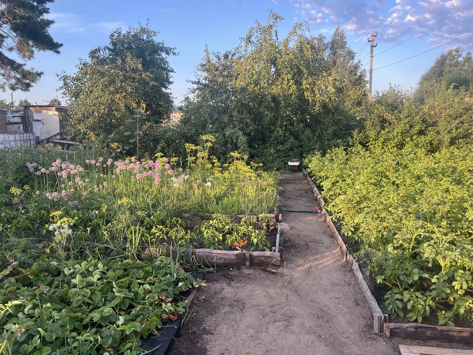 Продам дачу 6 общ 17 дачи