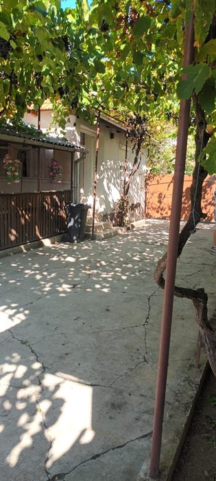 Vand casa cu anexe Berechiu jud Arad