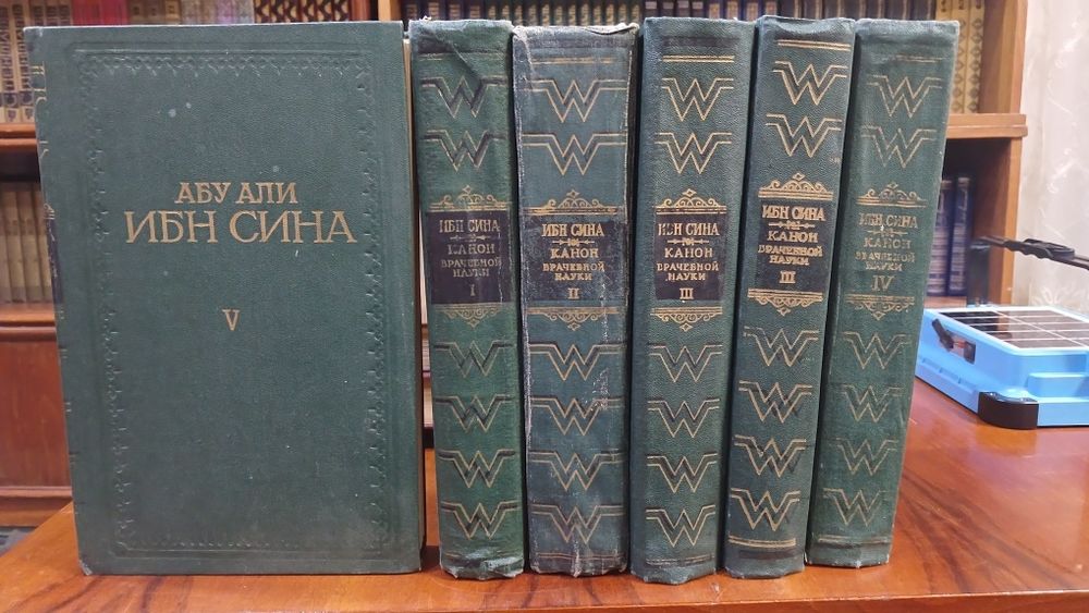 Канон врачебной науки. Ибн Сина