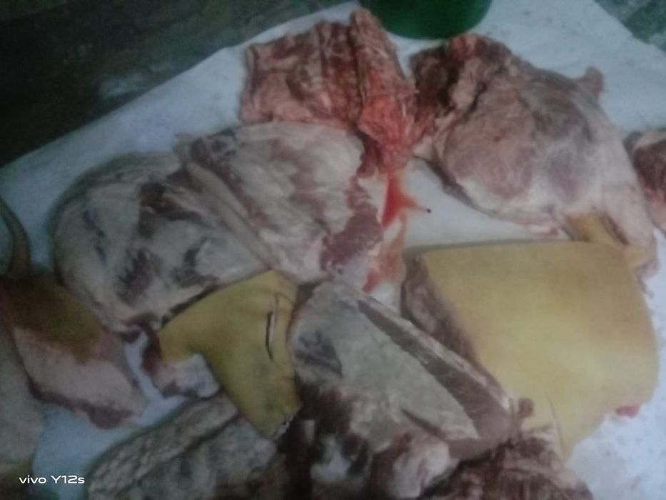 Продам  домашние свиное мясо