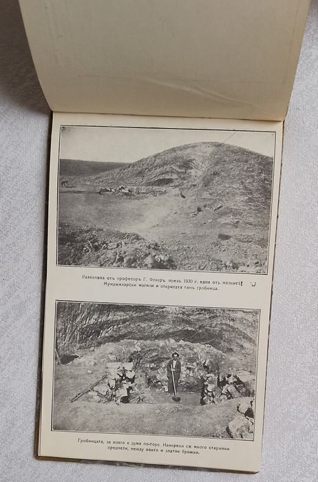 Дали - Ормана в картини. Фотографически снимки