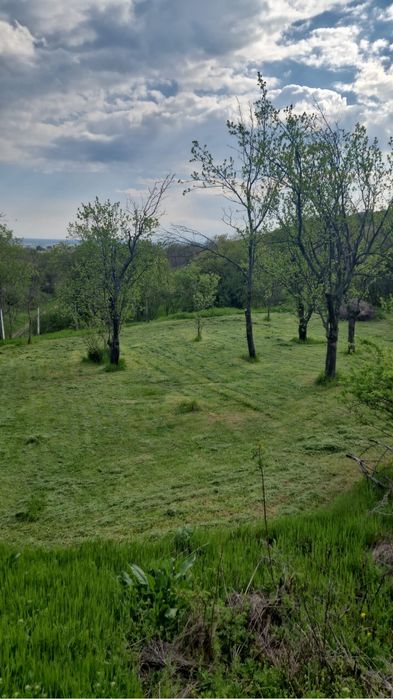 Teren intravilan sat Tohani comuna Gura Vadului ,Prahova