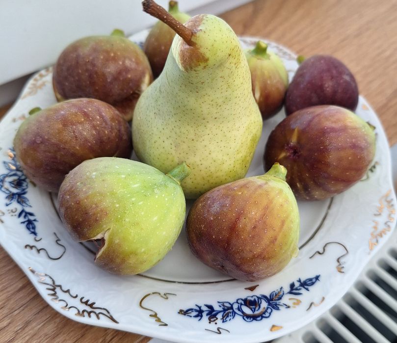 Smochini cu fructe mov , diverse marimi