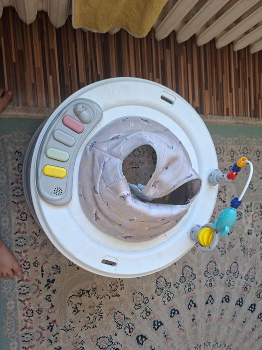 Отдам даром срочно