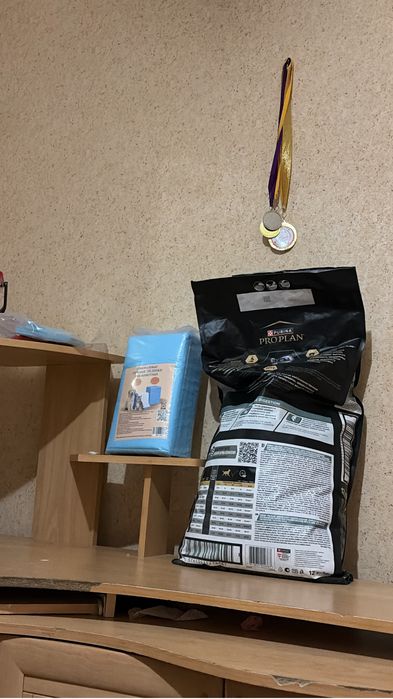 далматин далматинец долматин долматинец