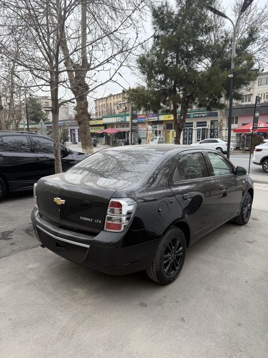 Cobalt Midnight 2025