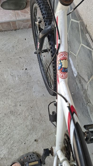 Bicicleta adulți