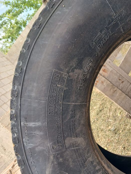 Мишилени ведущих