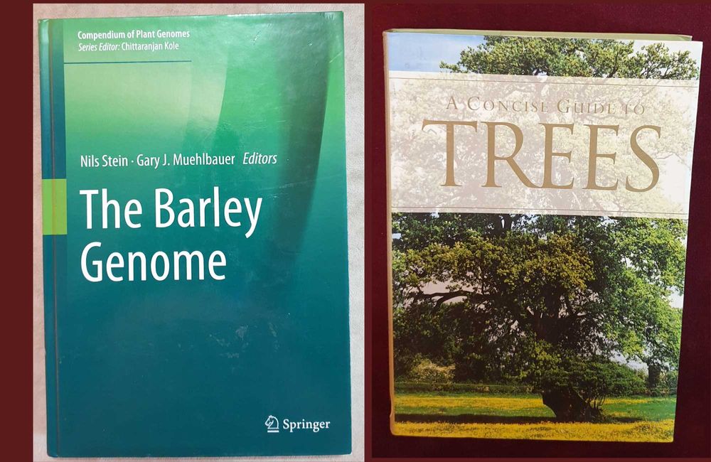 Архитектура, ергономия, графология, природа, игри, мода - 15 книги