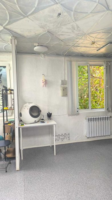 Продажа коммерческого помещения , Первая линия, Кунаева 46 - Ansicht 6