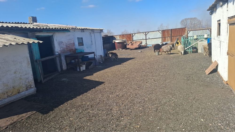 Продам дом с. Подгорное