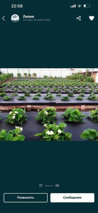 Спанбонд продается