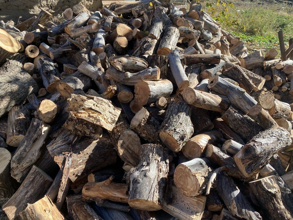 Продаются сухие дрова яблоня