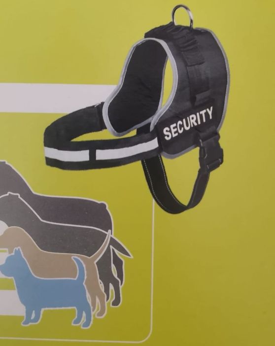 Ham câini masuri diferite