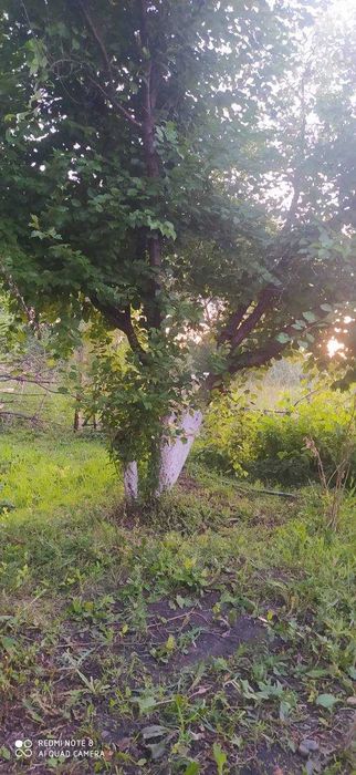 Продам дачу Восход в хорошем месте