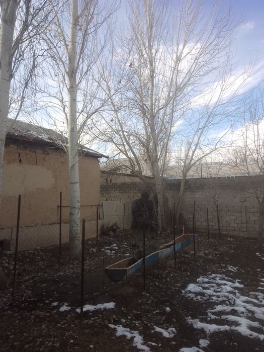 Тераклар сотилади