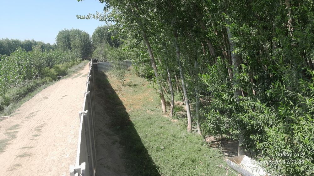 10 сотик чек сотилади