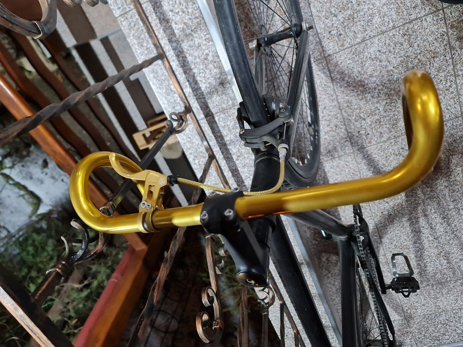 Cursiera Cycleurope, furcă carbon