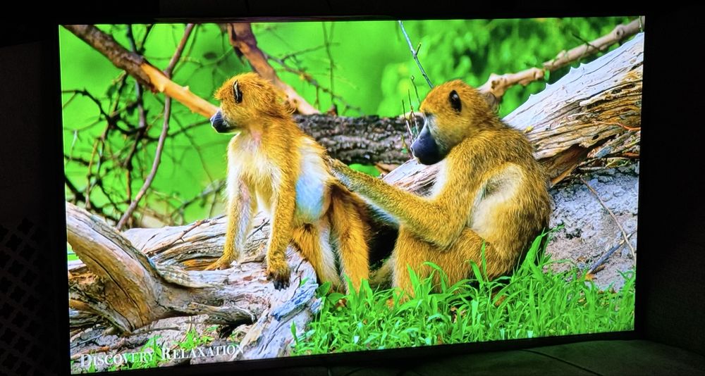 Samsung Телевизор