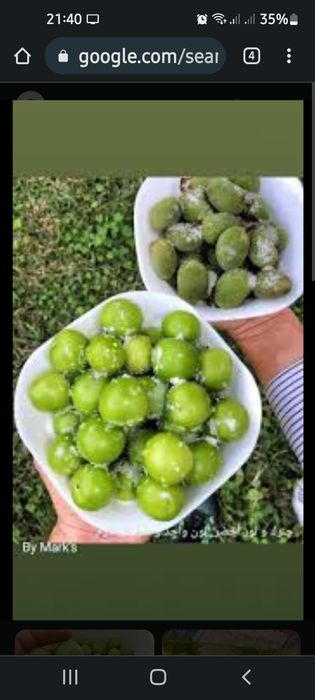 довча , куксултон, равоч  бор