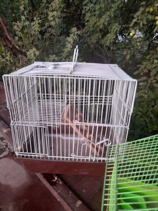 Продаются две маленькие  клетки