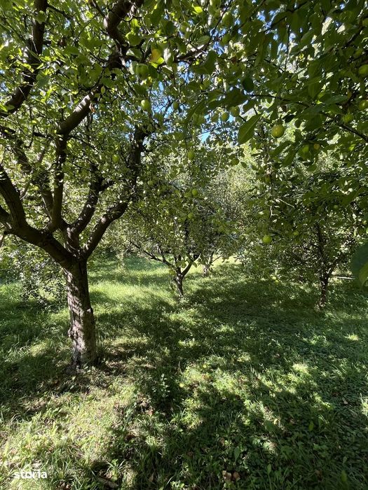 !!2 LOTURI TEREN INTRAVILAN!! 1500 si 1659 mp Comarnic, Vatra Satului