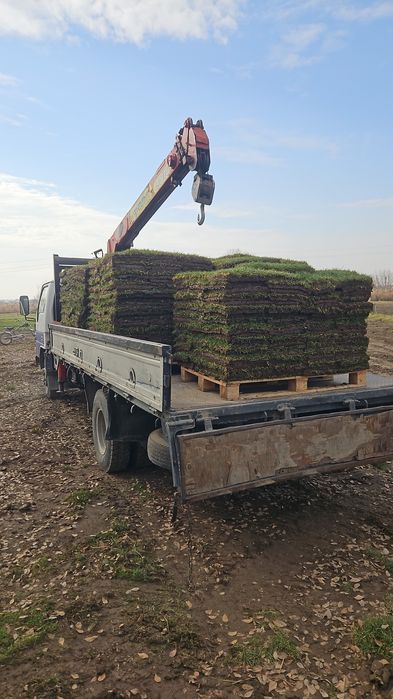 Мвнипулятор услуги