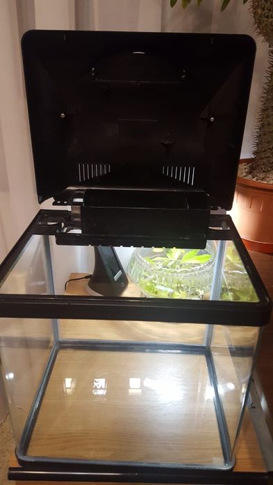 Acvariu sticla colectie cu capac