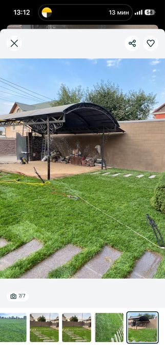 Газон дайын жерге койылатын