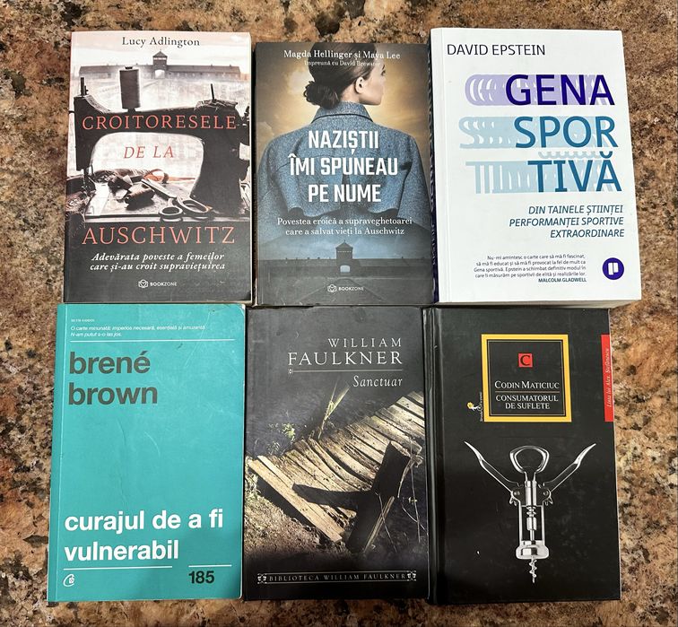 Brene Brown, David Epstein, Magda Hellinger -4 Carti