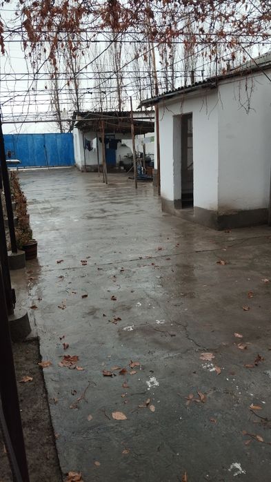 Уй сотилади. 5.3 сотих. 5 хонали