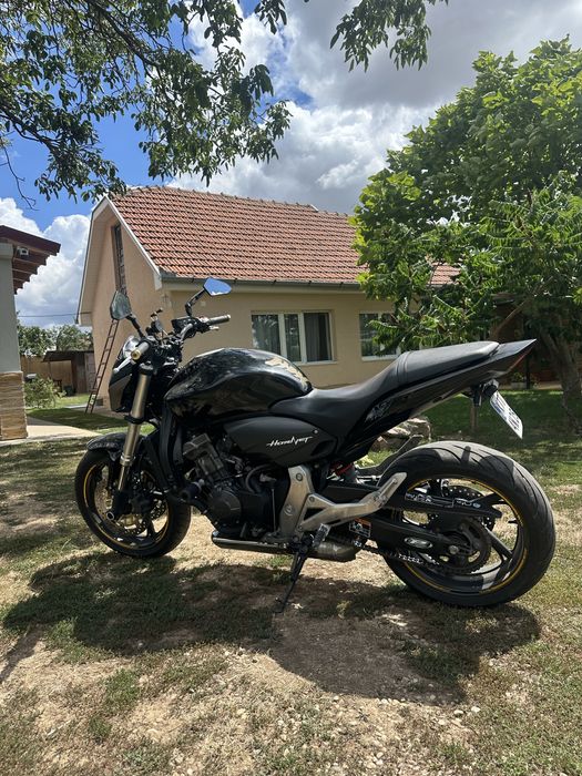 Honda Hornet 600 pc41
