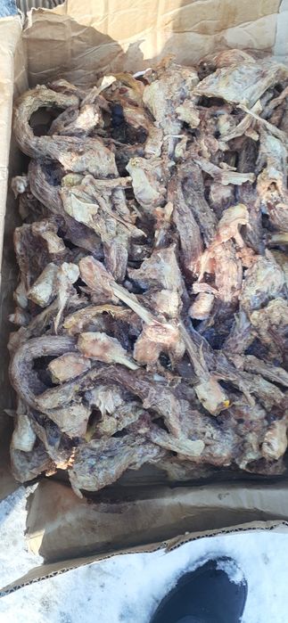 Куриные крылышки шейки для собак