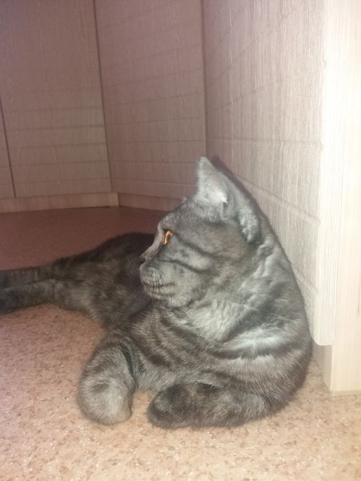 Ищу подругу для встречи