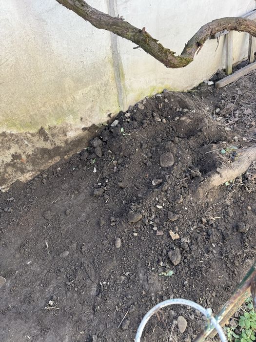 Donez pamant negru gradina - pamant umplutura