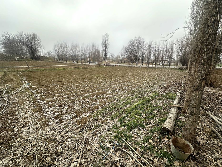 Yangiyo'l tumani M39 betonkani yoni 24 sotix